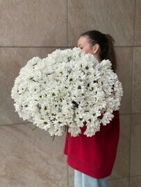 buket iz hrizantem romashkovidnih 25 sht