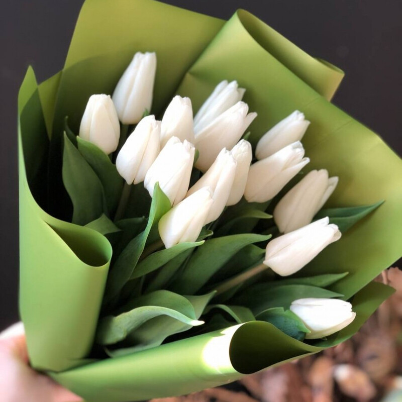 15 БЕЛЫХ ТЮЛЬПАНОВ, стандарт