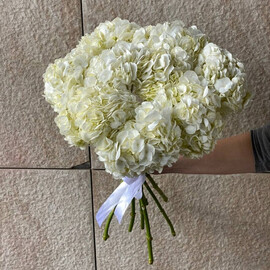 гортензия 9 