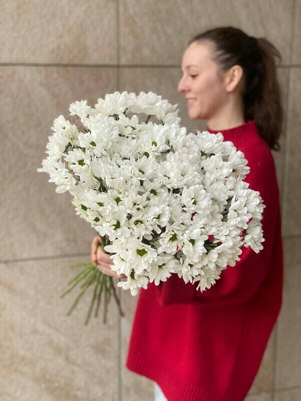 buket iz hrizantem romashkovidnih 15 sht, standart