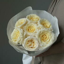 Monobuket kremovoj rozi candlelight