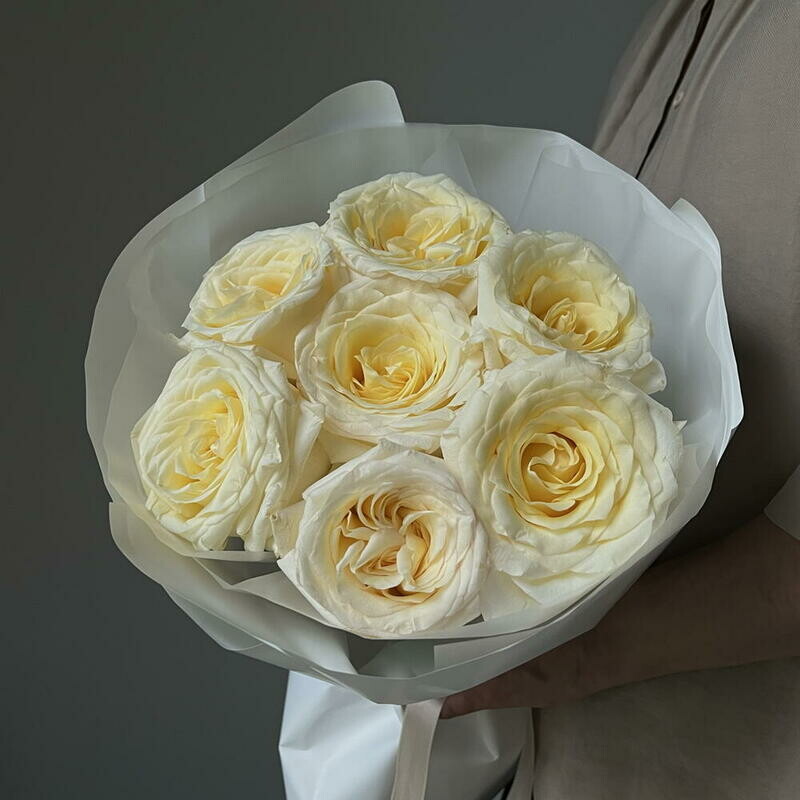 Monobuket kremovoj rozi candlelight, monobuket kremovoj rozi candlelight 7 sht