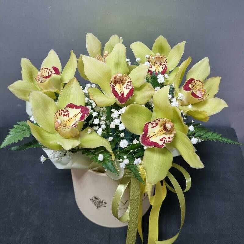 композиция из орхидей , стандартный