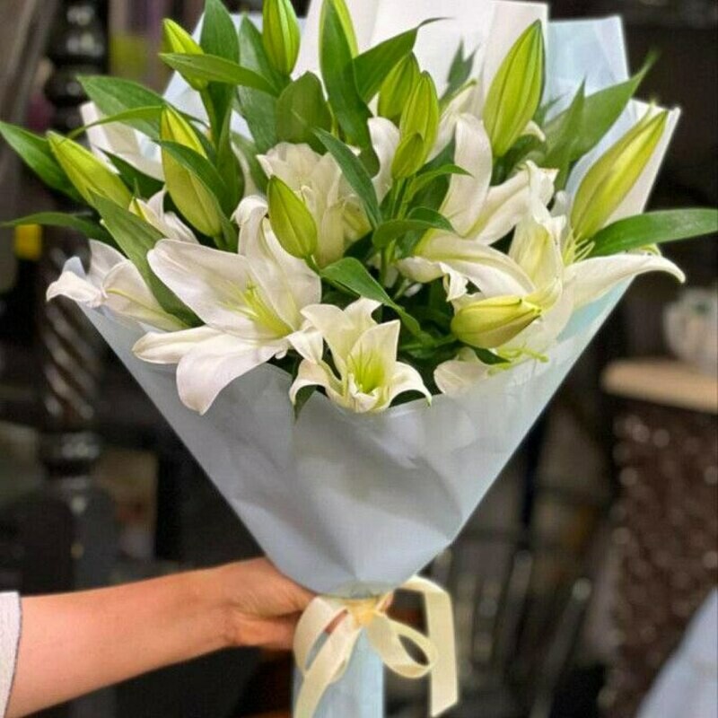 Белая лилия, стандартный