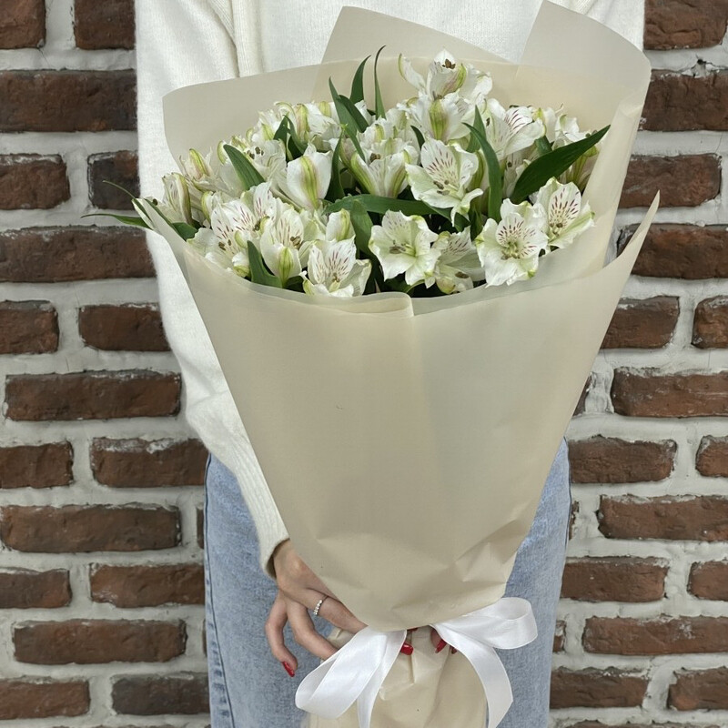 7 belih al_stromerii, standart