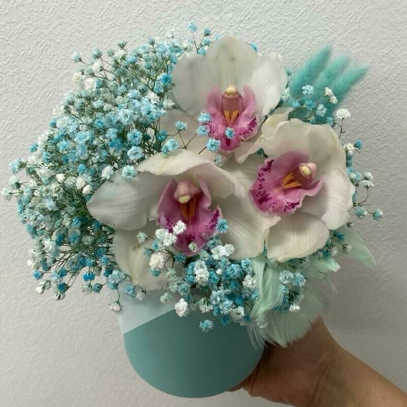 композиция "королевские орхидеи с гипсофилой, стандартный