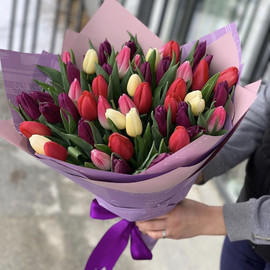 Микс Тюльпанов