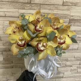 Солнечные орхидеи в коробке