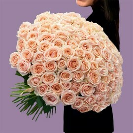 Buket 101 bezhevaya roza Gollandiya