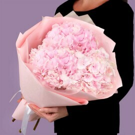 Buket iz rozovih gortenzij v upakovke PRINIMAEM PREDZAKAZ NA 14 FEVRALYA