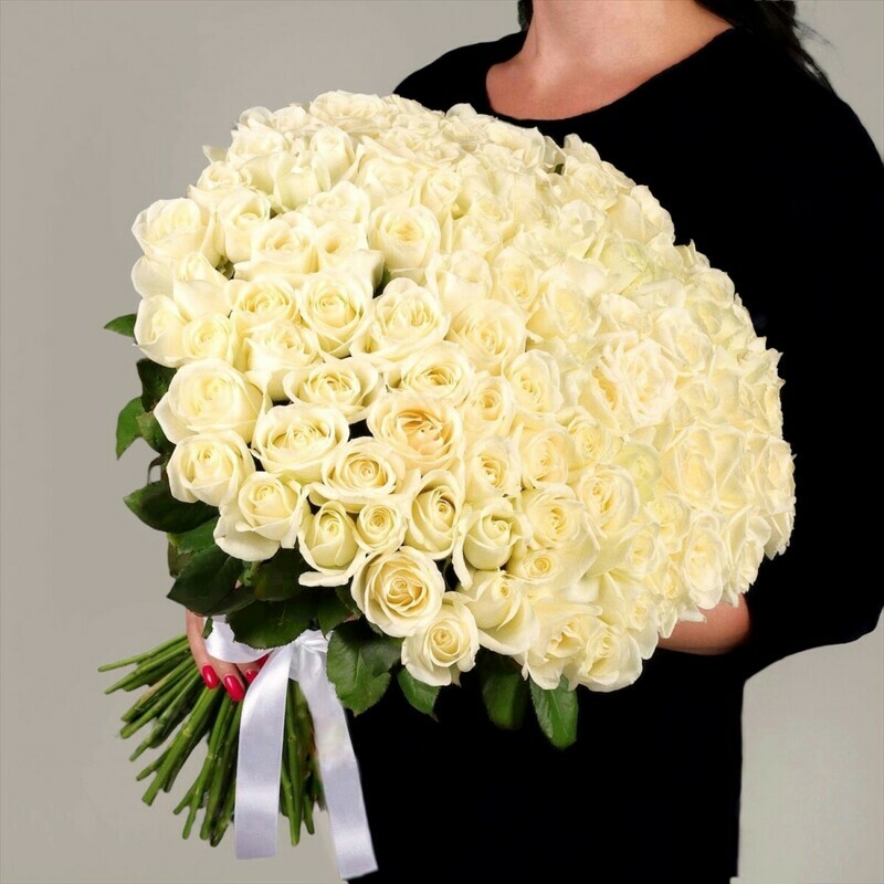 Букет 101 белая роза Голландия, букет 101 белая роза голландия