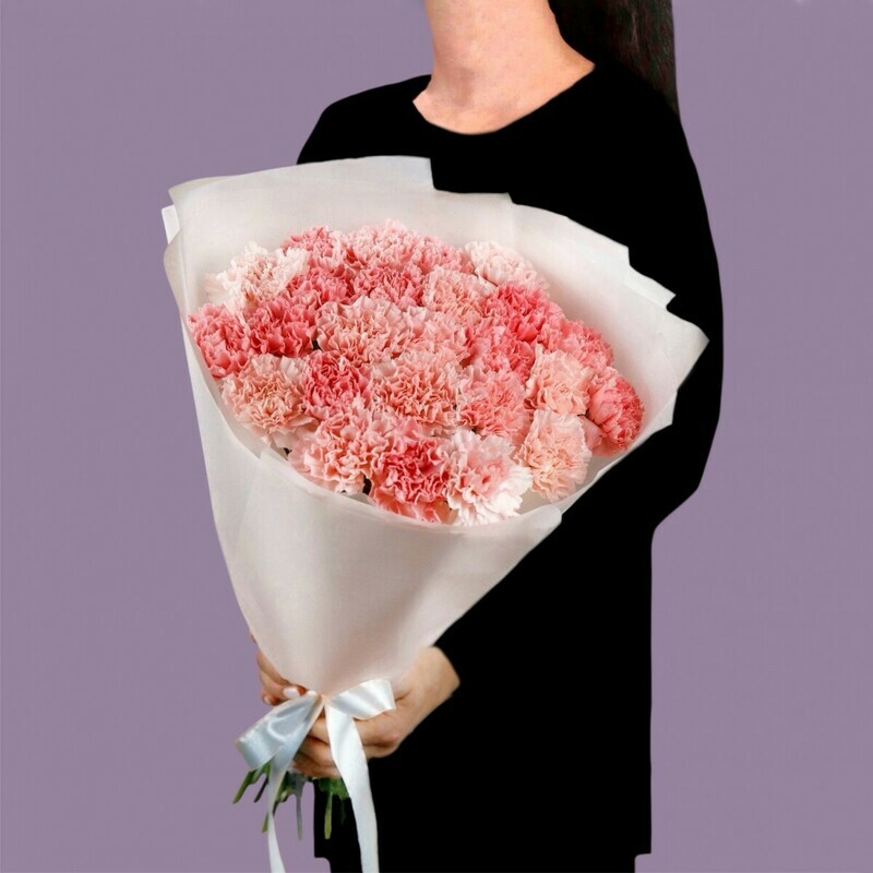 Букет из розовых диантусов в упаковке, букет из розовых диантусов в упаковке