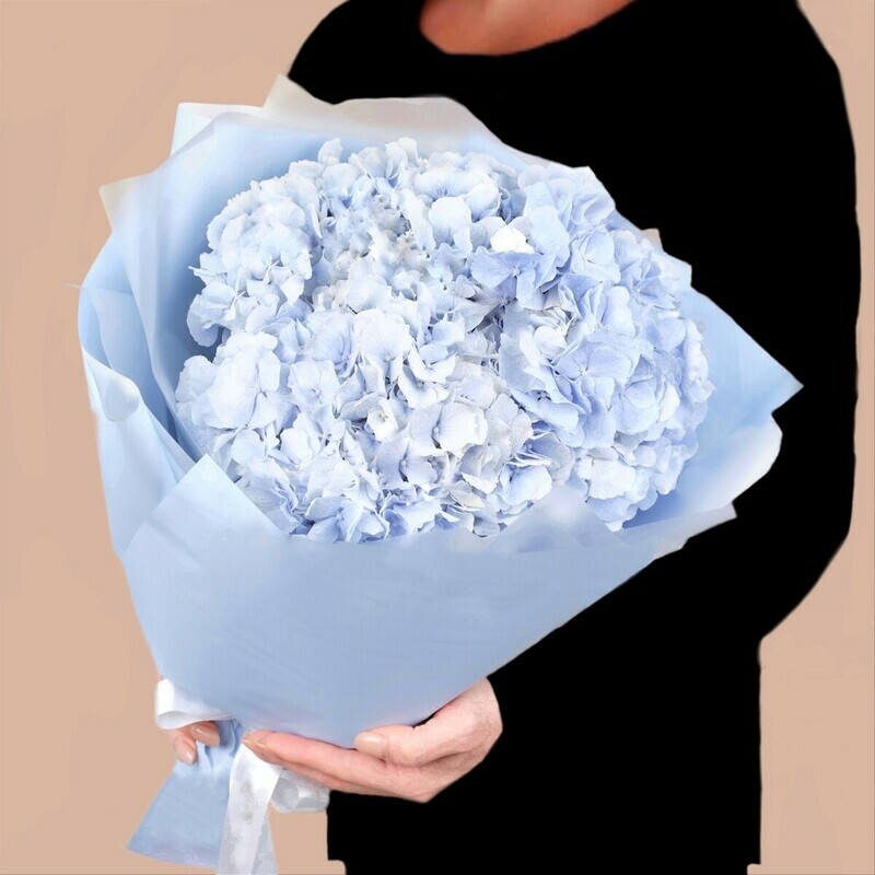 Букет из голубых гортензий в упаковке, букет из голубых гортензий в упаковке