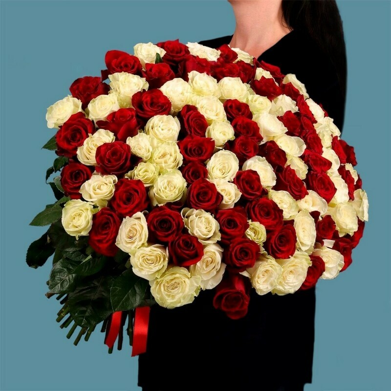Букет 101 красно-белая роза Эквадор, букет 101 красно-белая роза эквадор