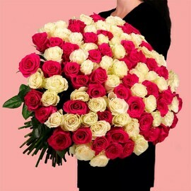 Букет 101 розово-белая роза Эквадор