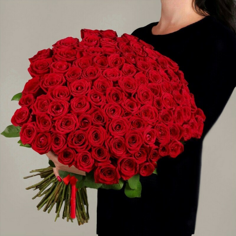 Букет 101 красная роза Голландия, букет 101 красная роза голландия