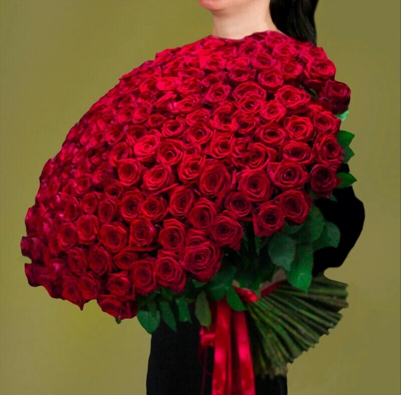 Букет 201 красная роза Голландия, букет 201 красная роза голландия