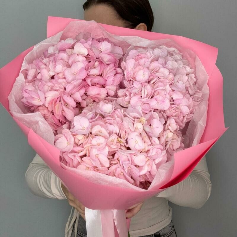 Rozovie gortenzii v bukete, premium