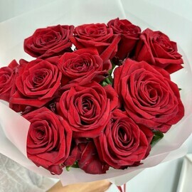 Красные розы 11 шт