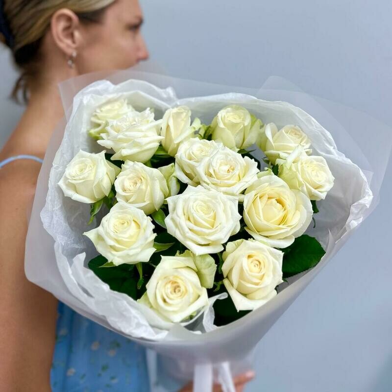 Белый лебедь , стандартный