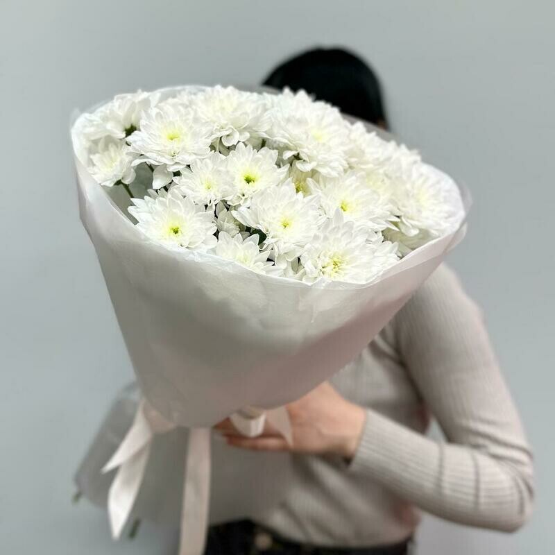 Белоснежная хризантема, стандартный