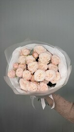 Мадам бомбастик