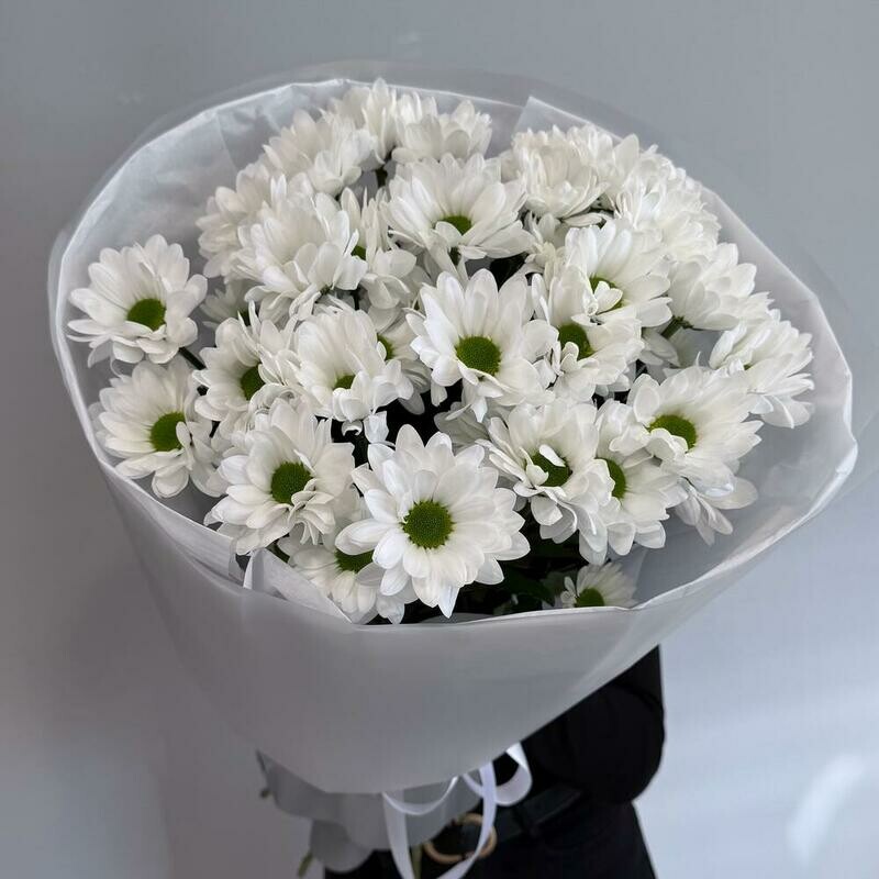 Любимые ромашки, стандартный