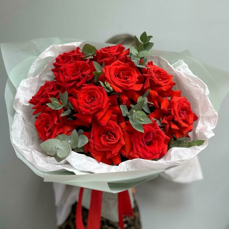 Alaya zarya, standart