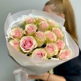 Розовые розы Пинк Мондиаль 