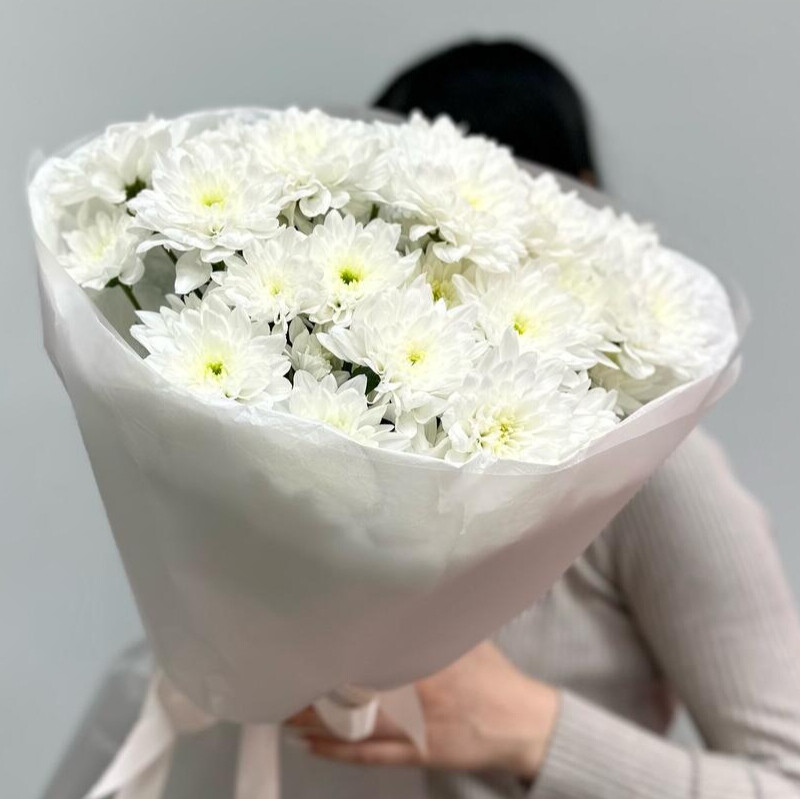 Белоснежная хризантема, стандартный