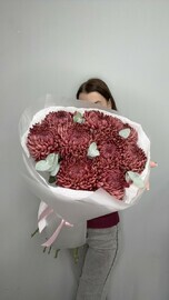 Хризантема бигуди шоколадная - 7 штук