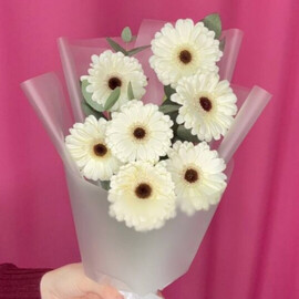 Belaya gerbera 7 shtuk