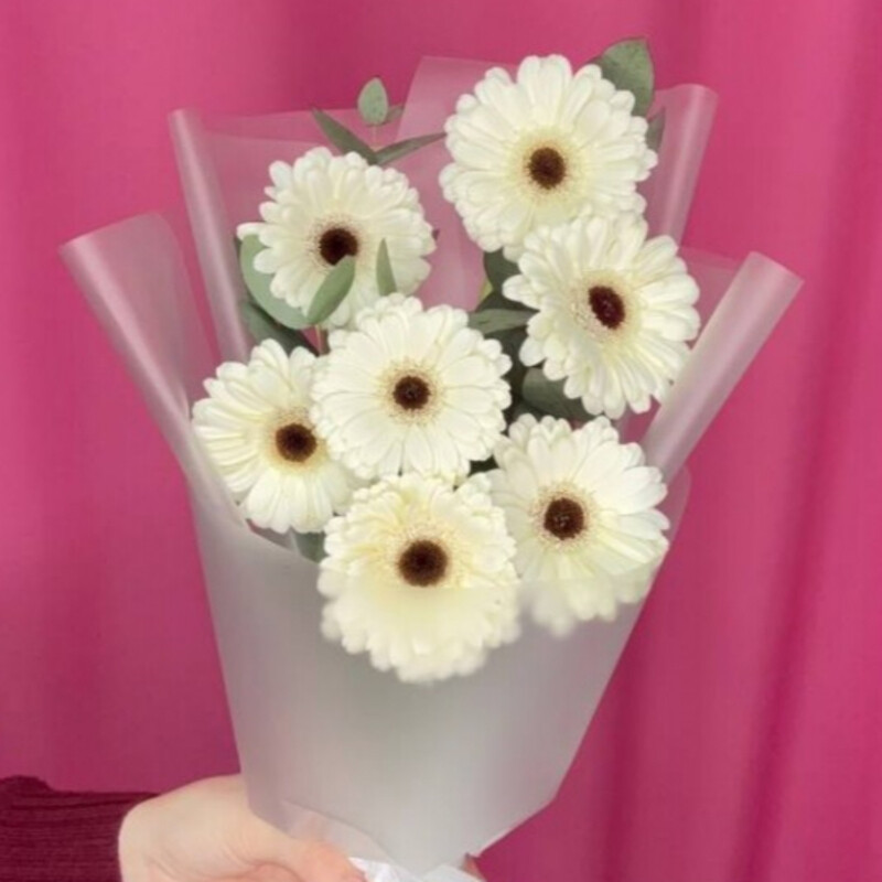 Belaya gerbera 7 shtuk, standart