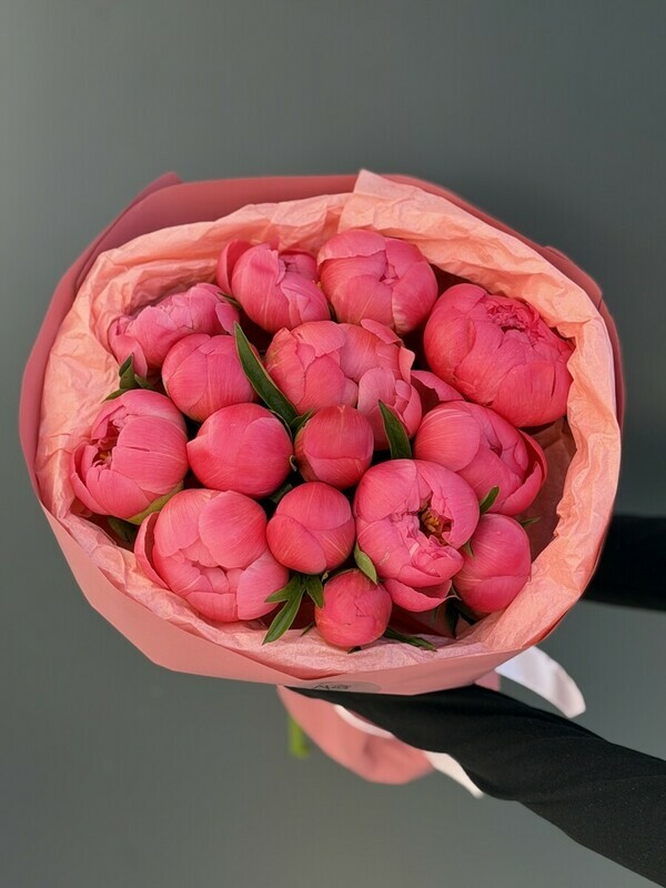15 coral peonies , premium
