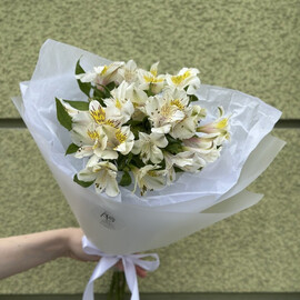 7 альстромерий в упаковке