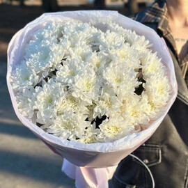 Bouquet of bush chrysanthemums