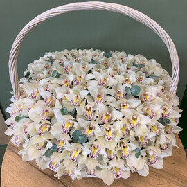 101 orchids in a basket 