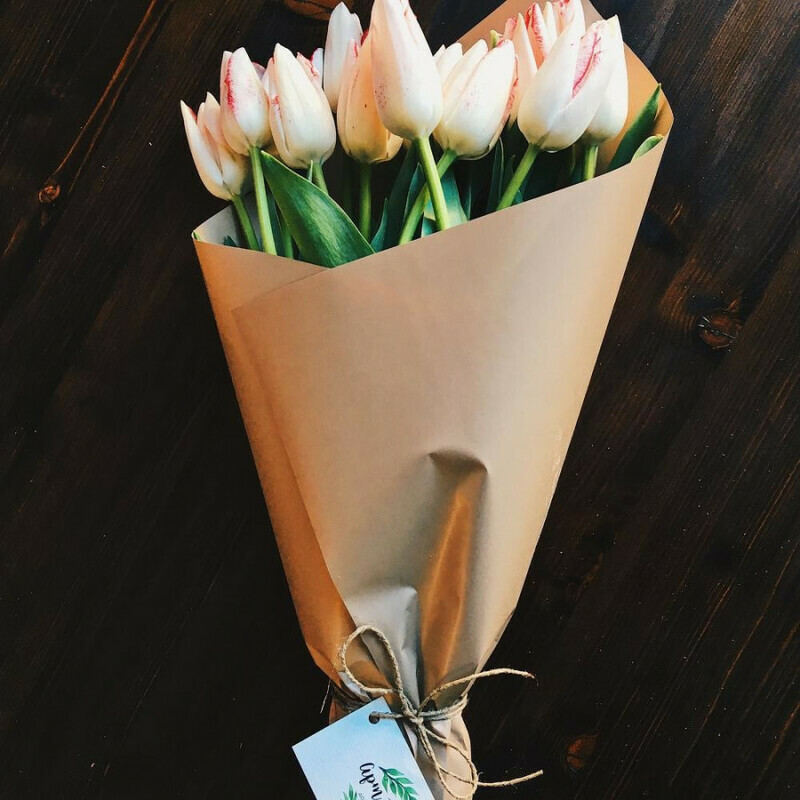 11 tulips for loved ones, 11 tyul_panov lyubimim