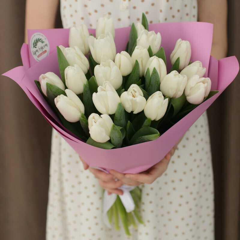 21 tulips for my beloved, 21 tyul_pan lyubimoj