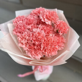 Букет 15 диантусов