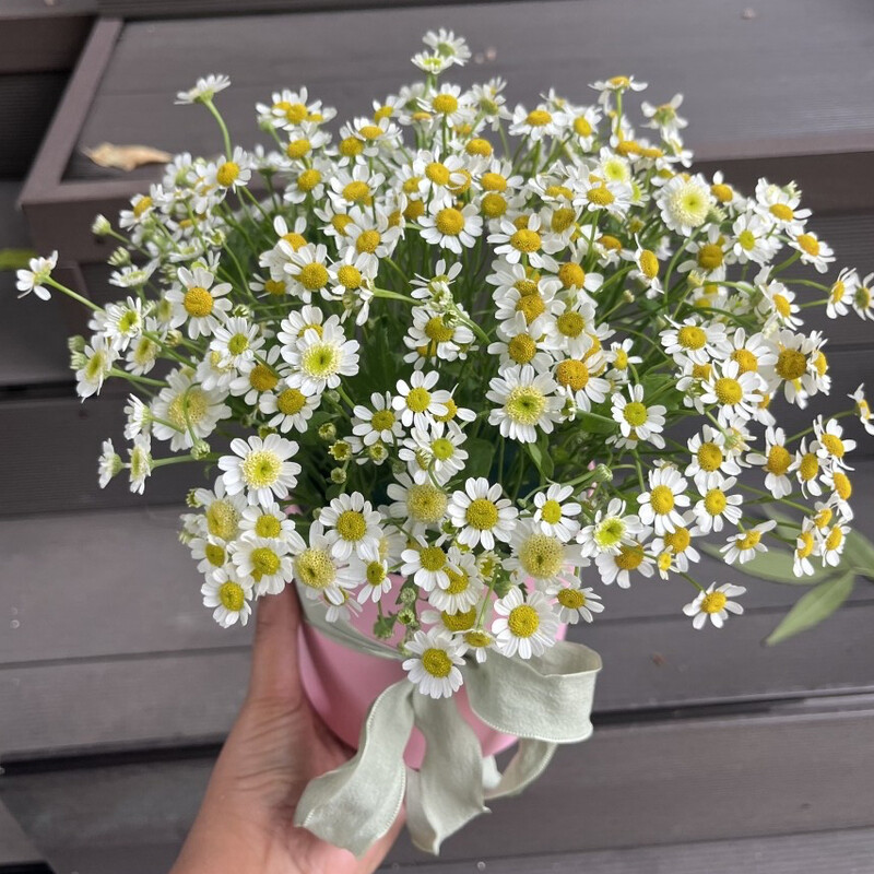 Композиция с ромашками , композиция с ромашками 