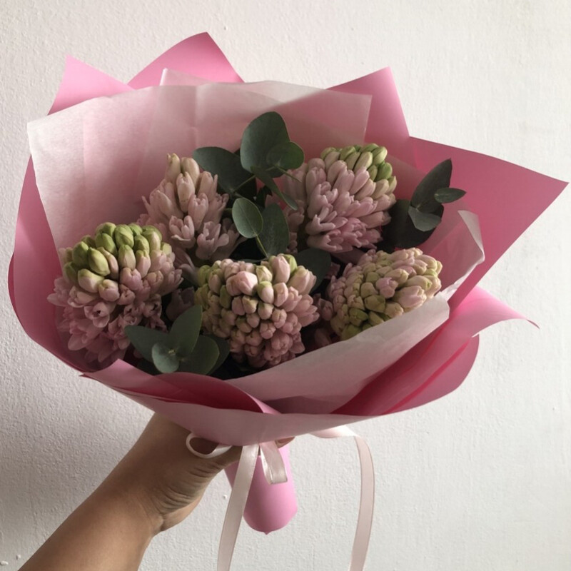 Гиацинты розовые , гиацинты 