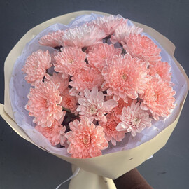 Buket s kustovoj hrizantemoj 5 sht