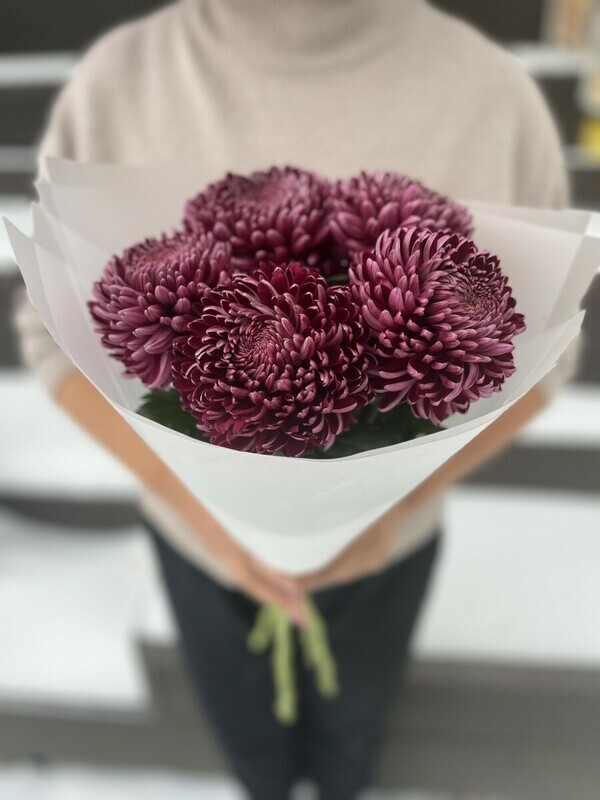 Букет с хризантемами Бигуди, букет с хризантемой бигуди