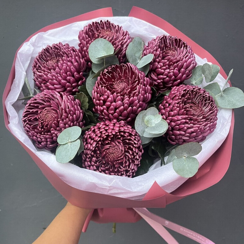 Букет с хризантемой Бигуди и эвкалиптом , букет с хризантемой 