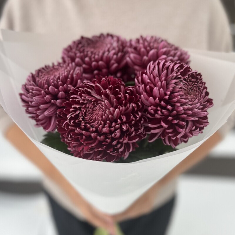 Букет с хризантемой Бигуди, букет с хризантемой бигуди