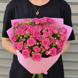 Малиновый кустик