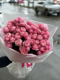 Buket iz 15i kustovih roz «Sil_va Pink»
