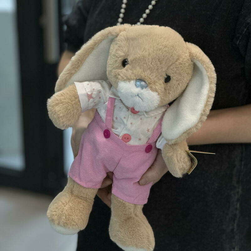 Зайчик в комбинезоне, зайчик в комбинезоне