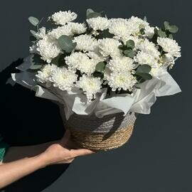 Kompozitciya iz hrizantem s romashkoj v vyazanom kashpo